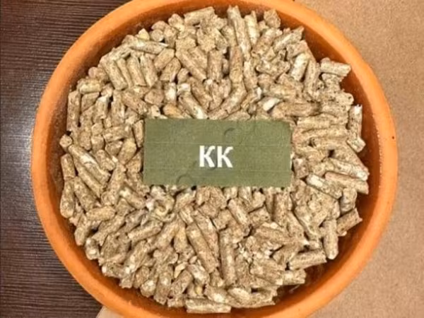 КК Кролик