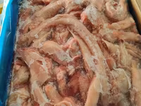 Сухожилия говяжьи tendon — фото 4