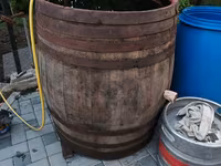 Butoi stejar — photo 1