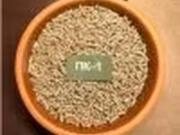 ПК-1 Рост — foto 2