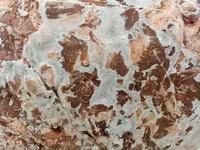 Говядина,тримминг(80/20),supremo,браз. — फ़ोटो 4