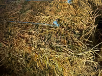 Тюки — Foto 2