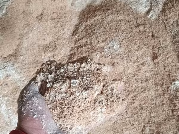 Улпак отруби кебек оптом - Натуральные отруби крупного и среднего