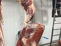 Блочное мясо 1-й сорт сухой. — 照片 3