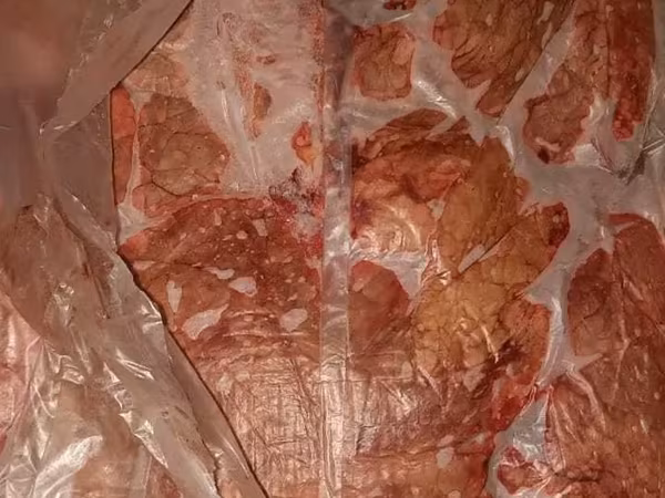 Легкое гов парагвай заморож