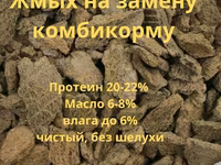 Жмых подсолнечный ракушка — الصورة 1
