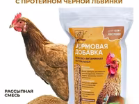 Витамины для кур несушек с Черной львинкой — photo 4