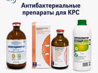 Антибактериальные препараты для КРС — 照片 1