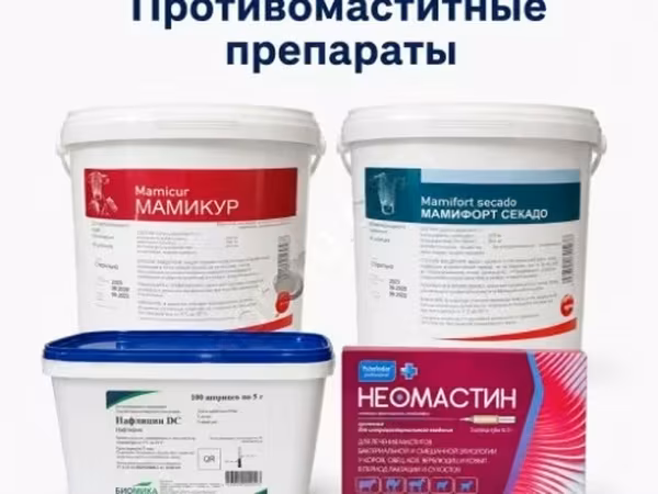 Препараты для лечения мастита коров