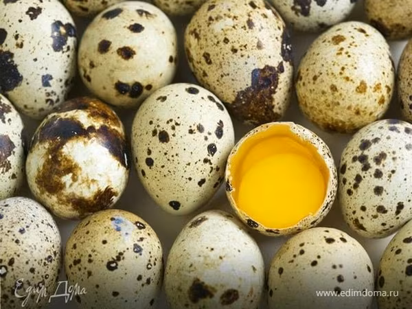 Chickens — 吉尔吉斯斯坦