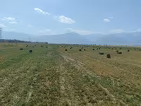 Сено в тюках (люцерна) - Кормовая люцерна, спрессованная в — фото 1