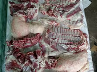 Widder, Rhon sheep — Foto 2