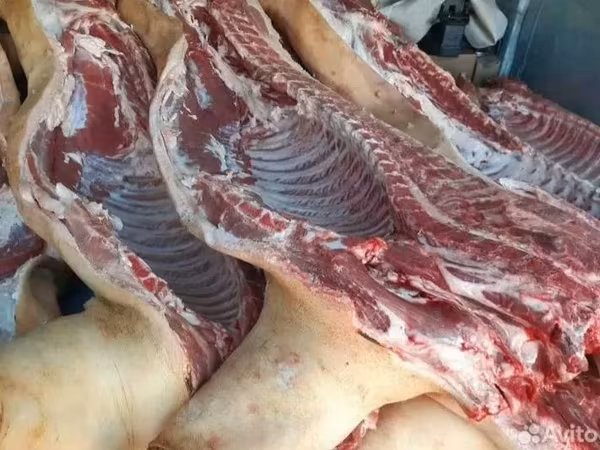 Свинина в полутушах паленка ГОСТ россия