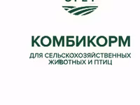 Корма — الصورة 3