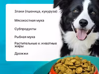 Корм для собак эконом класса Вожак 5кг — photo 3