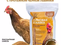 Витамины для кур несушек с Черной львинкой — photo 2