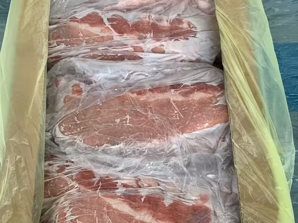 Ребро летна
