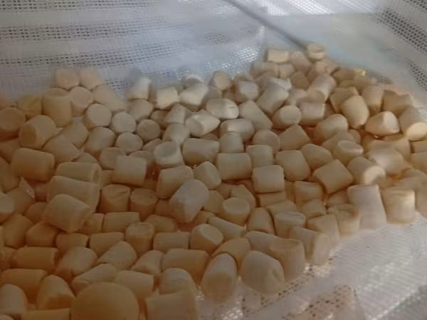 Сыр, Домашнее