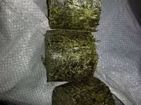Vindem furaj granulat pentru chinchilla si nisip tratat. — फ़ोटो 2