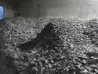 Жмых подсолнечный — الصورة 2