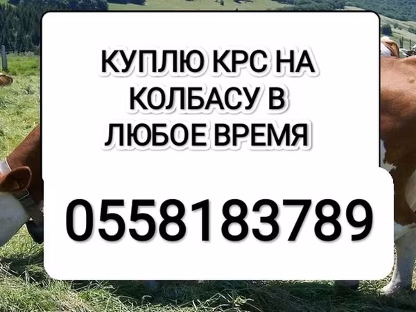 Говеда