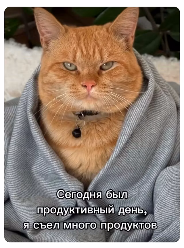 Болгарская белая молочная коза